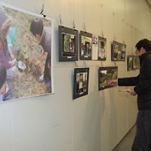 緑のまちづくりの会写真展「写真で見る10年間」