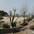 小野公園（薦野）