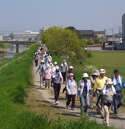 川沿いを歩く様子