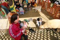 動物と触れ合う子ども達の様子