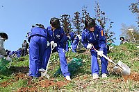 植樹の様子