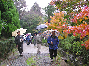 興山園のもみじ