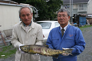 古原さんと橘さん