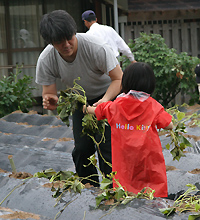 苗植えをする親子