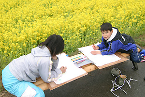 なの花のスケッチをする子どもたち