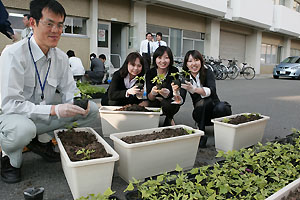 アサガオの植え替えの様子