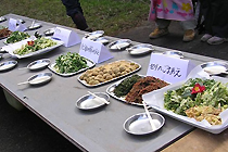 野草を使った料理の数々