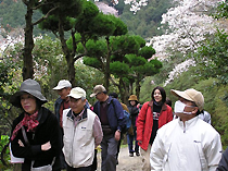 興山園を散策している様子