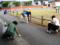 清掃活動をする様子