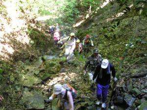 登山の様子