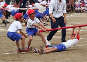 ひっぱれ！力を合わせてl