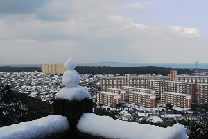 雪化粧をした古賀市