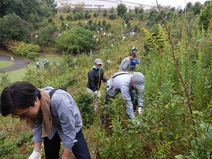 草刈りに励む皆さん