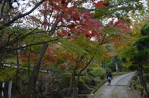 秋色に染まる興山園