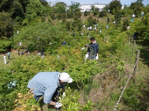 みんなで草刈りを行いました