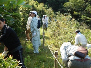 各班に分かれて活動