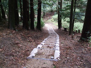 春の散策にぴったり