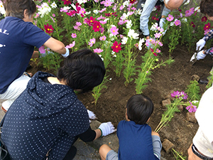 みんなで植える