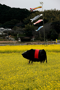 黄色いじゅうたんの上で牛のオブジェものんびりと