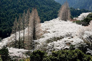 興山園