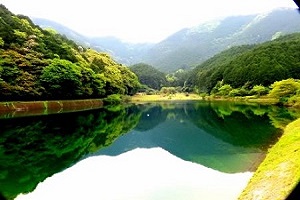 新緑の香り水辺公園