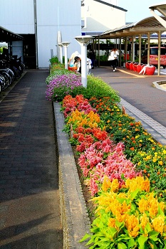 いろとりどりの花咲き乱れ