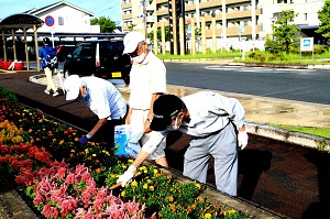 区の皆さんの手入れのたまもの