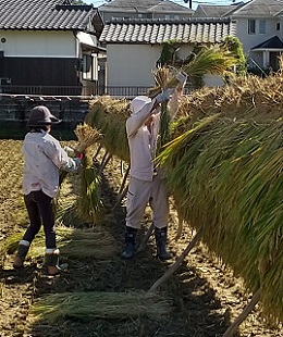 愛情たっぷりのおいしいお米に