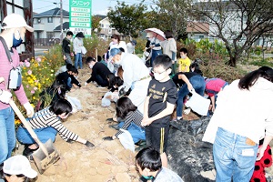 サツマイモ堀