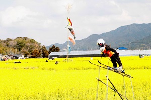 見渡す限り一面黄色