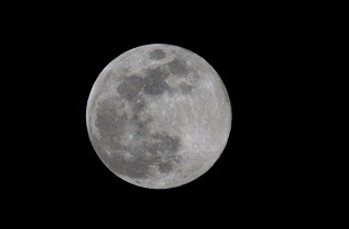 美しいウルフムーン