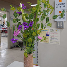 人事秘書課カウンターに古賀の花き農家さんが生産したスターチス、カラー、ブプレリウムを飾っています