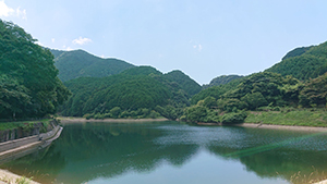 薬王寺水辺公園