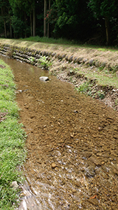 薬王寺水辺公園