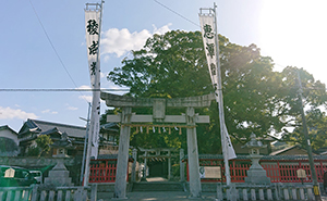 青柳　五所八幡宮