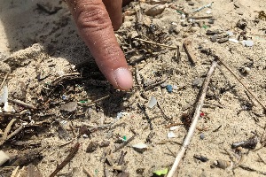 砂に混じったマイクロプラスチック
