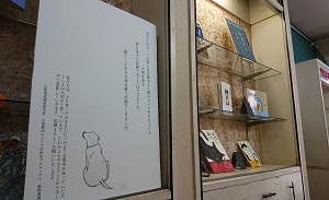 動物愛護の展示