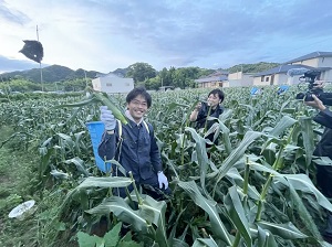 実が詰まってる