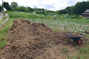 野菜づくりの現場