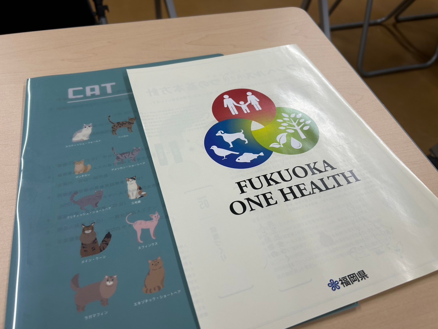 意見交換会