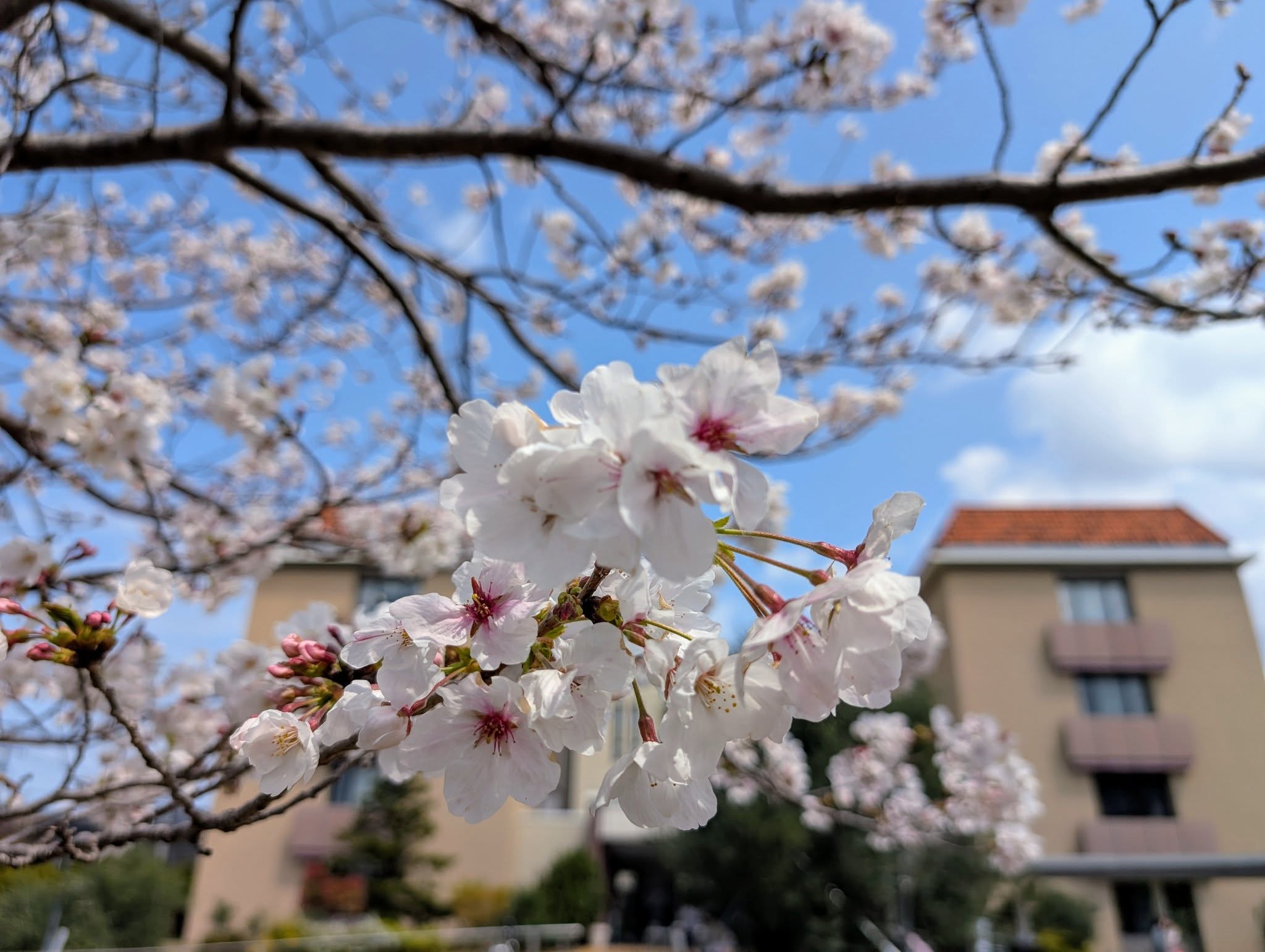 福岡女学院看護大学