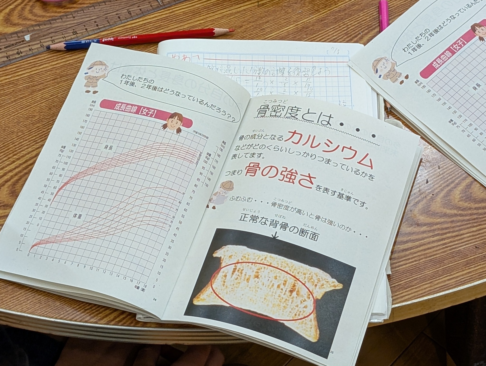 骨について