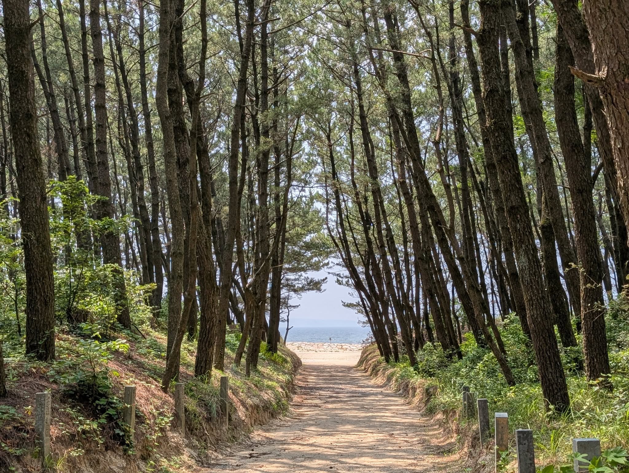 海岸