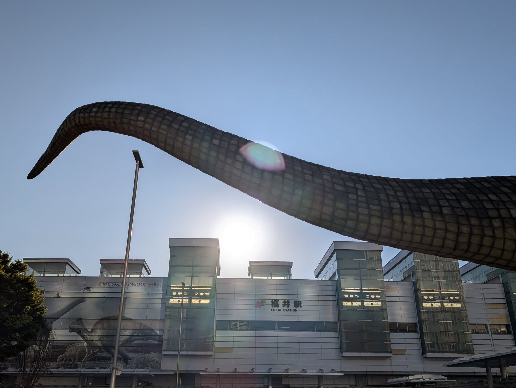 福井駅１
