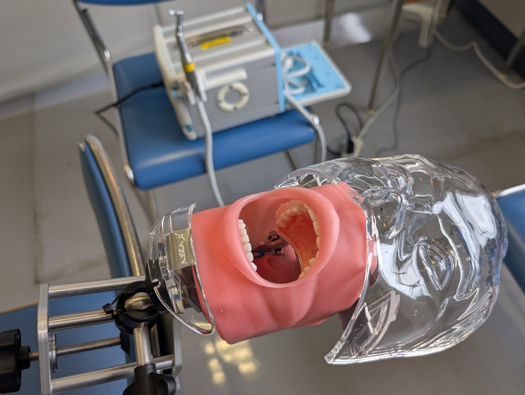 デンタルフェア３