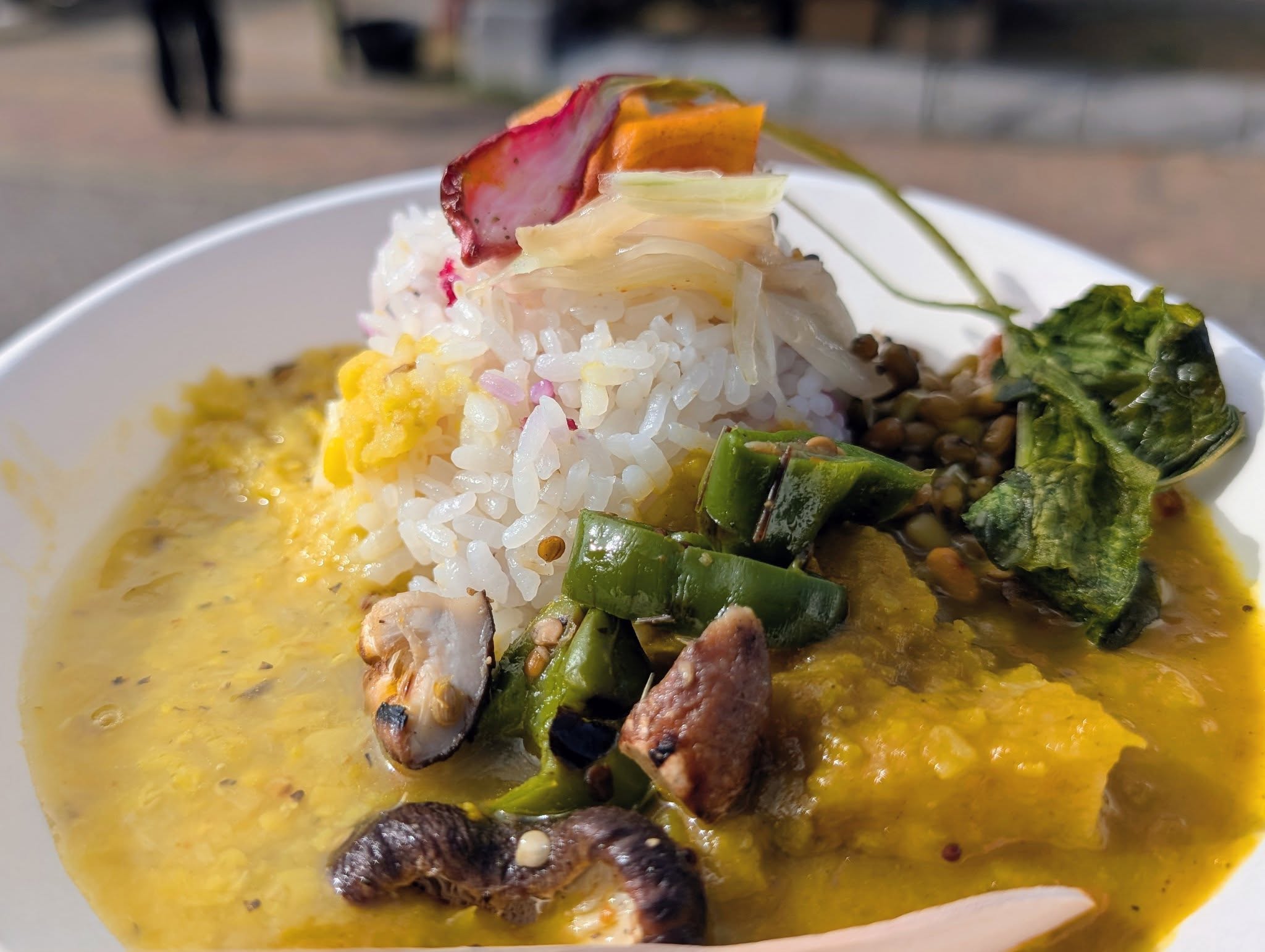 粕屋ゼロミッション５