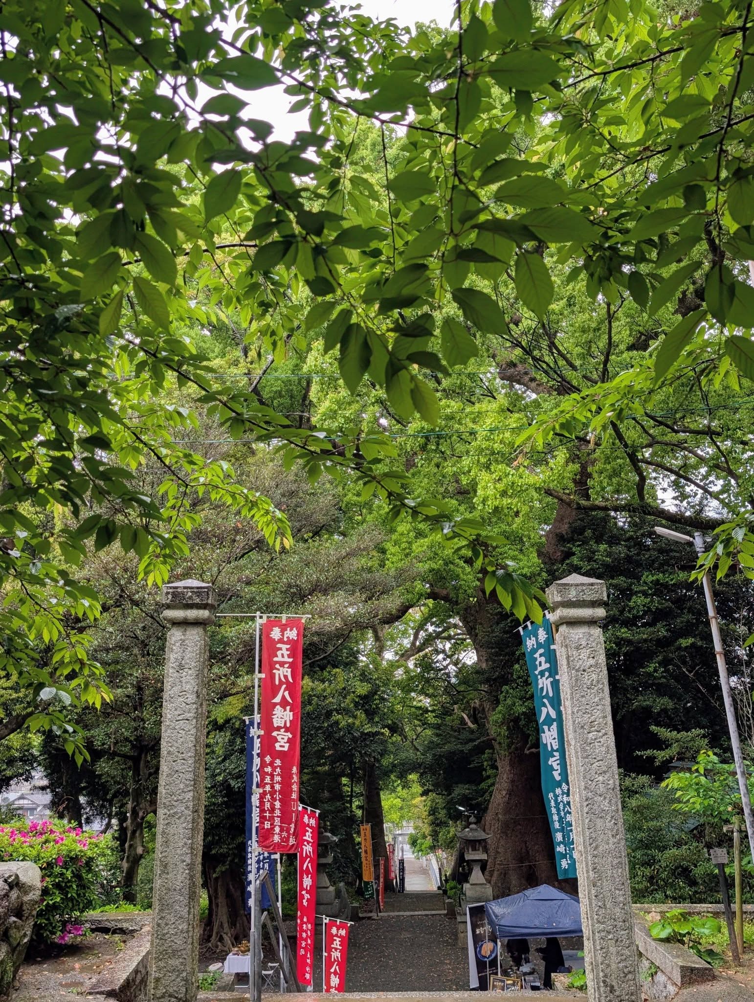 五所八幡宮