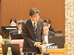 大綱質疑