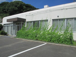 伸びてます！