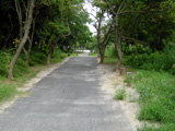 遊歩道